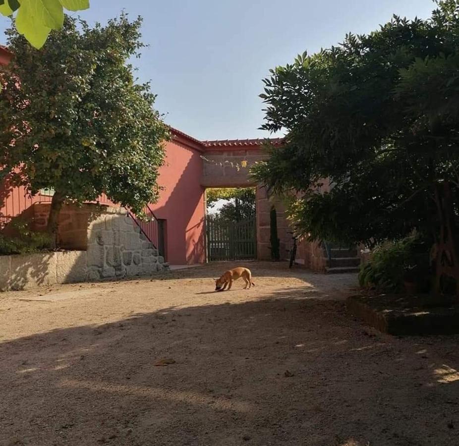 Quinta Do Santinho Villa Amarante Exterior photo