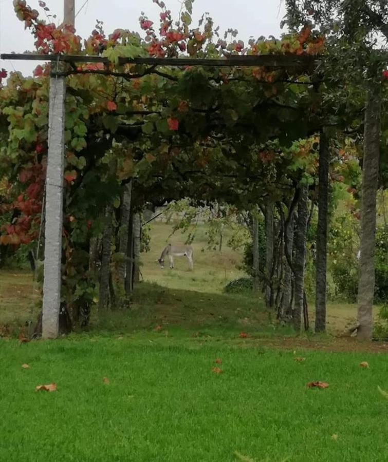 Quinta Do Santinho Villa Amarante Exterior photo